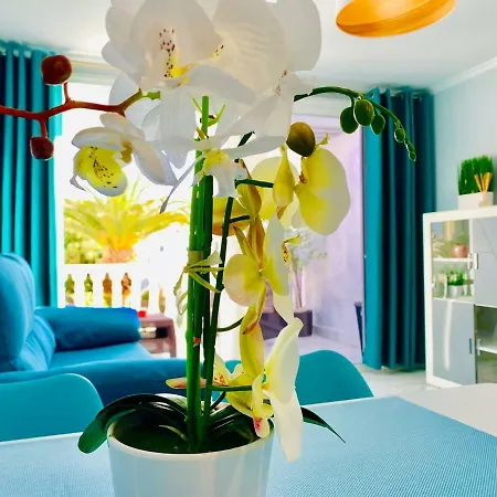 Apartman Troya De Americas Ii